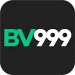 VB999 Game