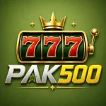 PK500 Game
